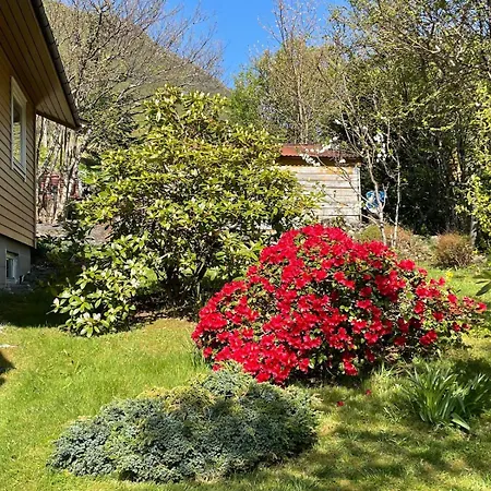 Lejlighed Retro Hus Med Fin Beliggenhet Haddal