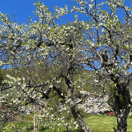 Retro Hus Med Fin Beliggenhet شقة *