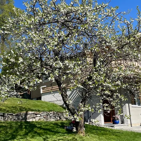 Retro Hus Med Fin Beliggenhet Haddal