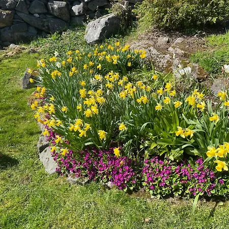 شقة Retro Hus Med Fin Beliggenhet *