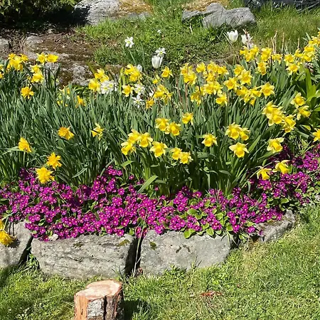 Retro Hus Med Fin Beliggenhet Lejlighed Haddal