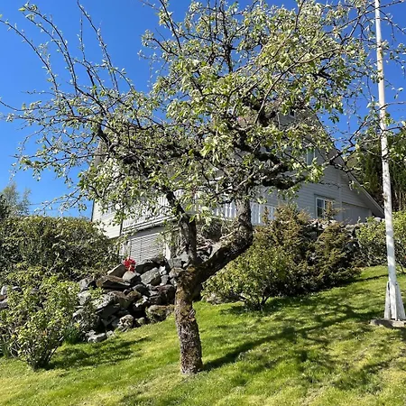 Retro Hus Med Fin Beliggenhet Lejlighed *