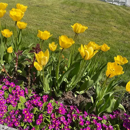 Lejlighed Retro Hus Med Fin Beliggenhet