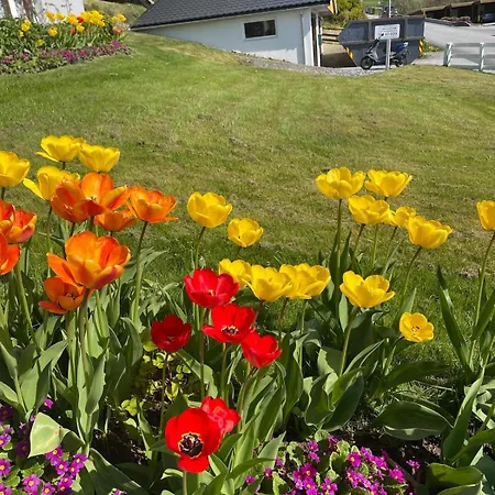 شقة Retro Hus Med Fin Beliggenhet