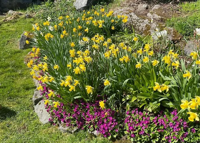 Apartment Retro Hus Med Fin Beliggenhet *